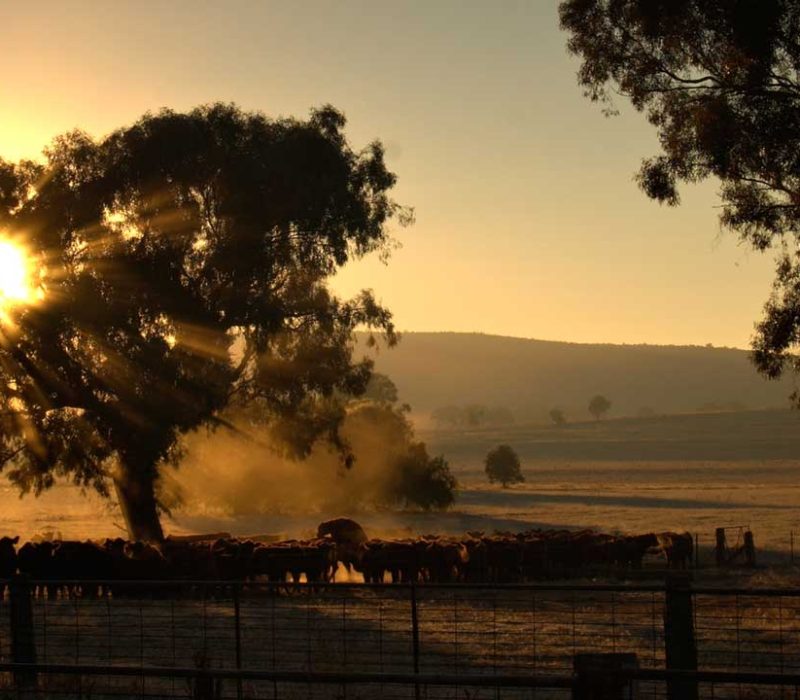 The Pinky sunset in summer time on the beach in Ballina, Byron b